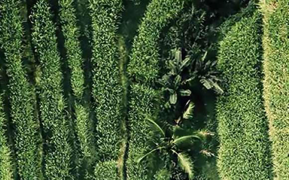 In-Flight Skin Saver